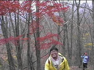 Mt.Hi-jog entry