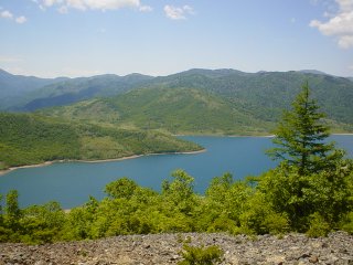View point.