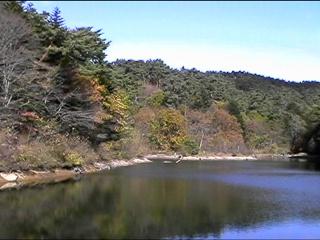 Mitsumine swamp.