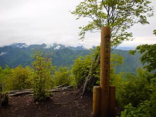 The top of view