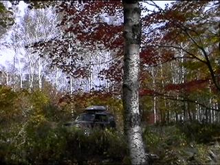 Autumnal and Diaco