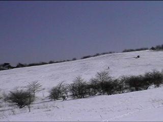 Ski