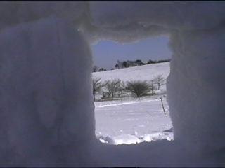 The window