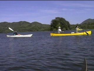 Paddling