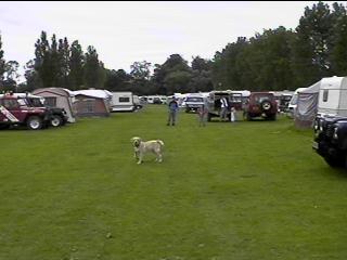 Trailer Campers