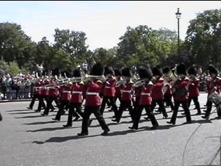 The Guards