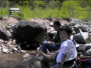 A mountain stream