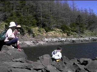 Lake Twins