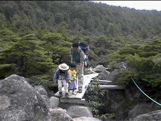 Climb down