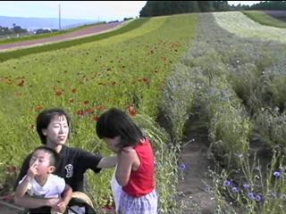 Harb Farm
