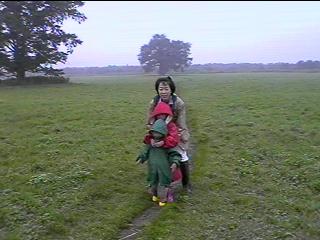 HARUNIRE tree