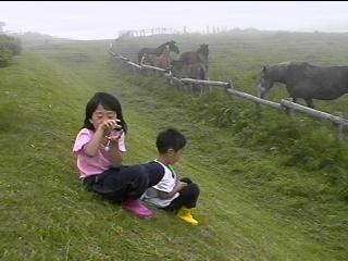 The HORSE