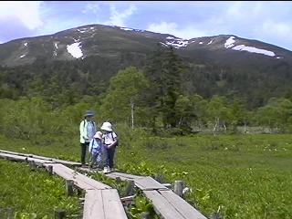 Mt.SHIBUTSU